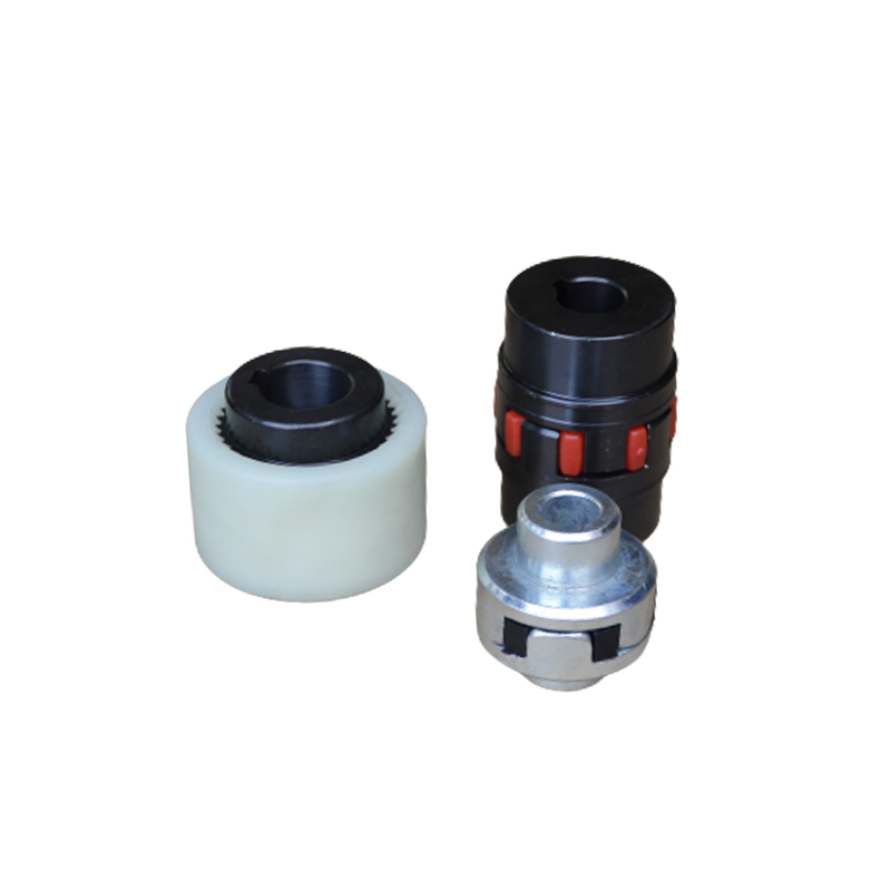 020，040，063，100真空泵聯軸(zhóu)器